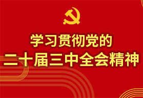 学习贯彻党的二十届三中全会精神